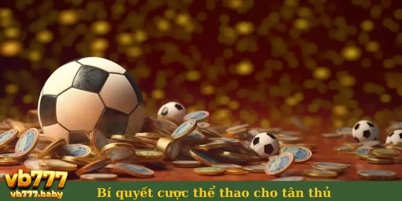 Bí quyết cược thể thao cho tân thủ