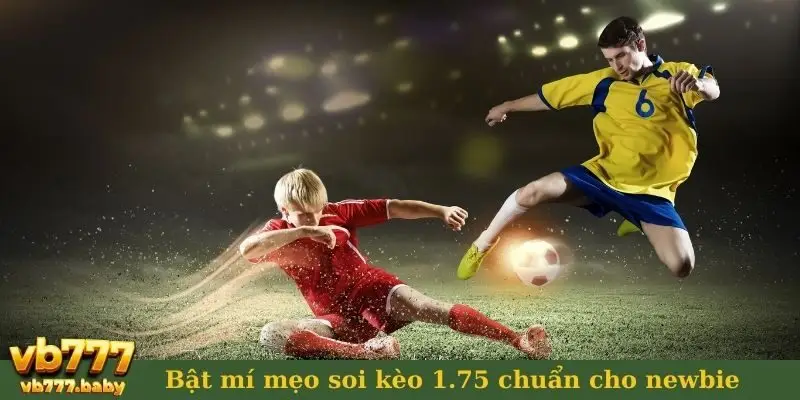 Bật mí mẹo soi kèo 1.75 chuẩn cho newbie