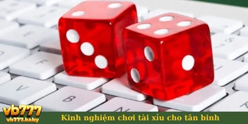 Kinh nghiệm chơi tài xỉu cho tân binh