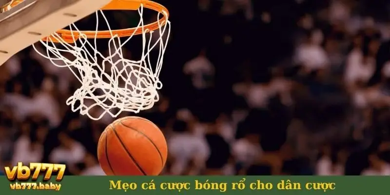 Mẹo cá cược bóng rổ cho dân cược