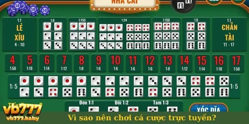 Vì sao nên chơi cá cược trực tuyến tại VB777?