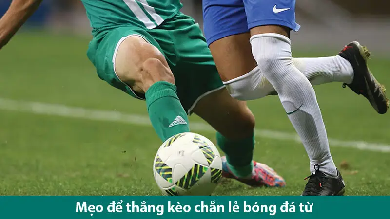 Hướng dẫn đặt cược kèo chẵn lẻ bàn thắng hiệu quả cho tân thủ