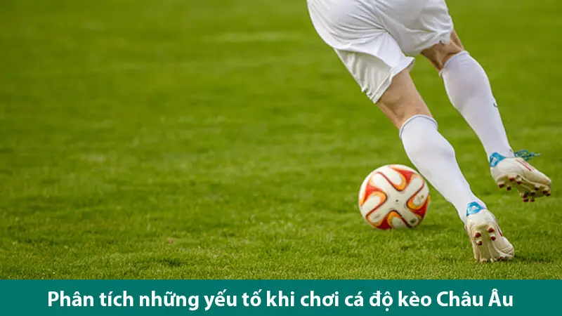 Phân tích các yếu tố quan trọng khi chơi cá độ kèo châu Âu 
