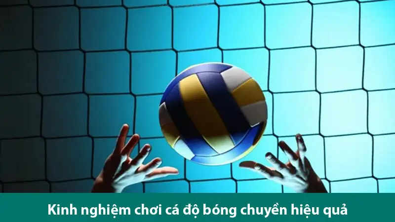 Hiểu rõ về cá cược bóng chuyền và kinh nghiệm chơi cá độ hiệu quả